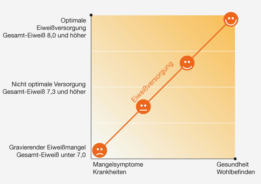 Amino-Pur: Der Gesamt-Eiweißgehalt im Blut sollte bei 8,0 oder höher liegen